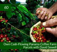 60: Own Cash-Flowing Panama Coffee Farm Parcels with David Sewell